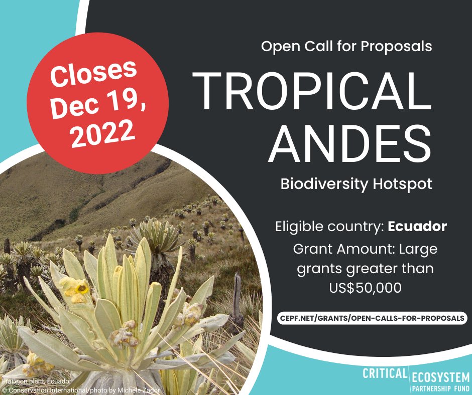 CEPF (@communitycepf) on Twitter photo #CEPF Open Call for Proposals!
Tercera Convocatoria para Cartas de Intención para Subvenciones Grandes en el Hotspot de los Andes Tropicales!
Hotspot: Tropical Andes
Eligible country/País elegible: #Ecuador 
Please visit bit.ly/3ghPm8V for detailed instructions. #CEPF Open Call for Proposals!
Tercera Convocatoria para Cartas de Intención para Subvenciones Grandes en el Hotspot de los Andes Tropicales!
Hotspot: Tropical Andes
Eligible country/País elegible: #Ecuador 
Please visit bit.ly/3ghPm8V for detailed instructions.