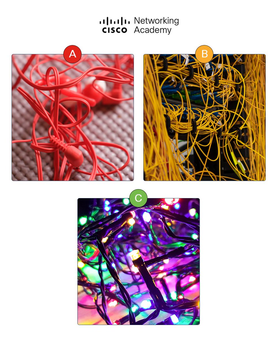 If you had to choose… which one would you prefer😂? 

⚠️ Disclaimer: this post can make you feel nervous and give you an urge to close the tab. 

Use precaution 🙃.
#CableWednesday