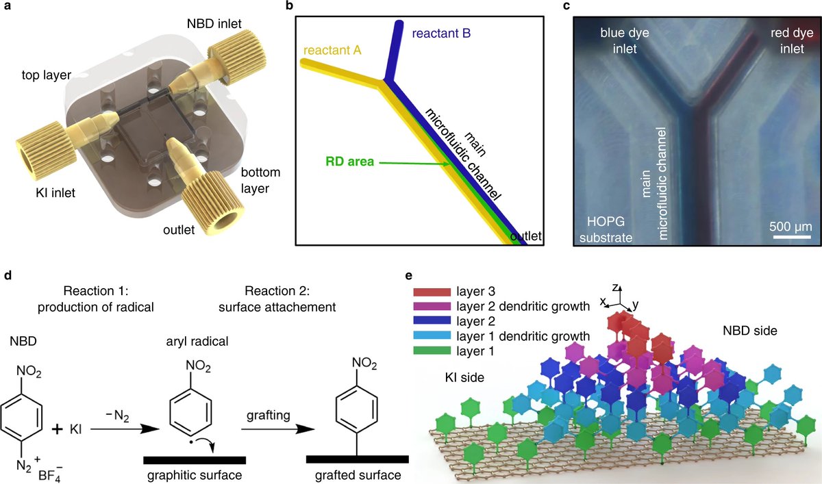 Spatiotemporal surface chemistry... <a href="/YuanzhiXia001/">Yuanzhi Xia</a> et al. show the microfluidic transfer of chemical gradients onto graphenic surfaces with 2D &amp; 3D control.
<a href="/semihsevim_/">Semih Sevim</a> <a href="/joaopvale/">João Vale</a> <a href="/DeFeyterGroup/">Steven De Feyter</a> <a href="/PuigmartiLuis/">Josep Puigmartí-Luis</a> <a href="/KU_Leuven/">KU Leuven</a> <a href="/ETH_en/">ETH Zurich</a> <a href="/UniBarcelona/">Universitat de Barcelona</a> <a href="/NatureComms/">Nature Communications</a> nature.com/articles/s4146…