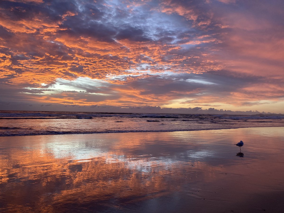 Corrine Barraclough tweet media