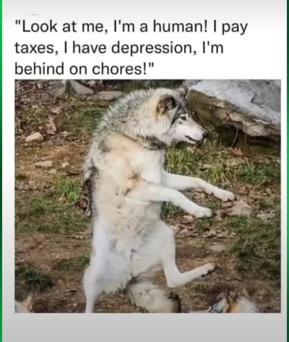 thelemonwizard's tweet photo. https://t.co/cRRBs279MW