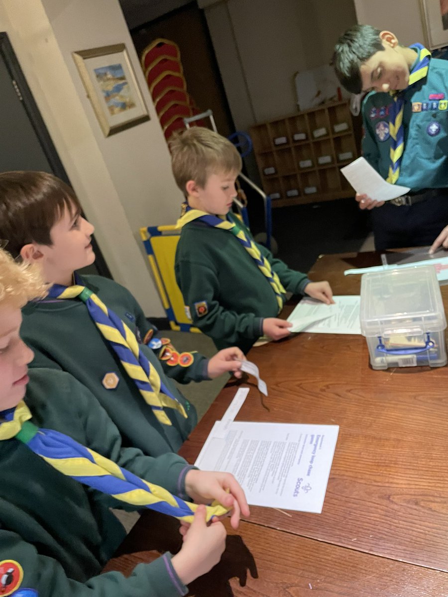 2241ScoutGroup's tweet photo. Home Safety badge… https://t.co/9Vo2S7yQBO