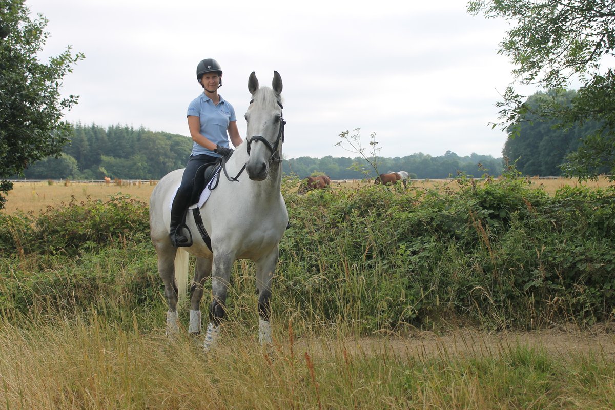 It's World Horse Appreciation Day! Here's just a few of the horses appreciated by #TeamKBIS 😍