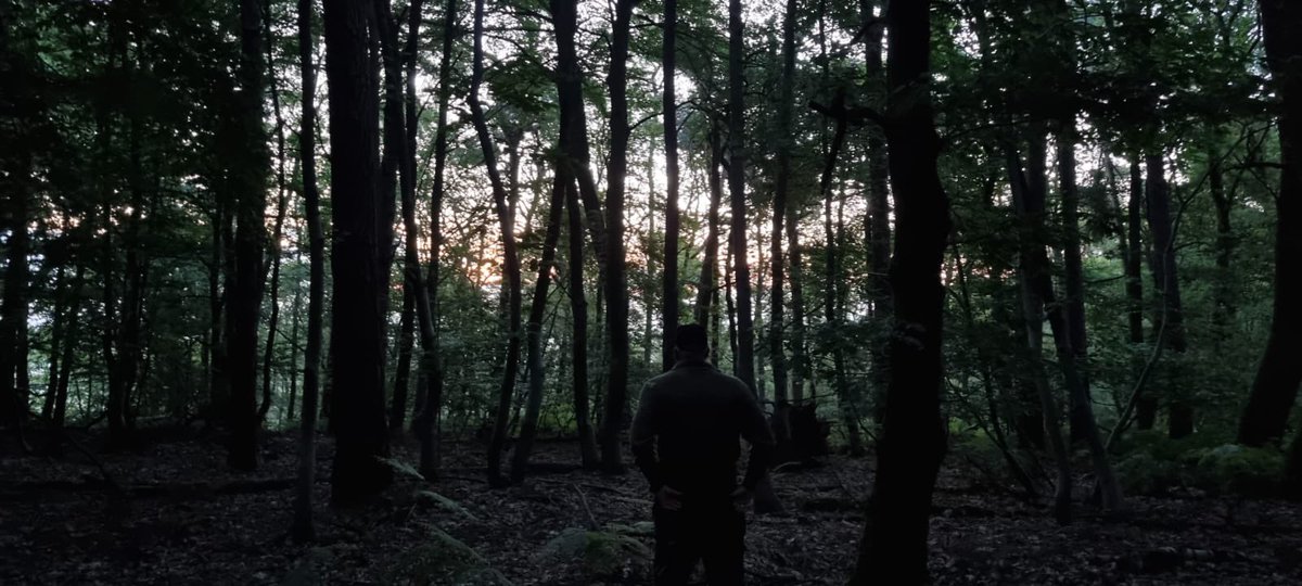 GekkuGerritt's tweet photo. The only way out, is through 👣 #Focus #nature #thought #clearmind #peace #forrest #bos https://t.co/McGyRhXuNW