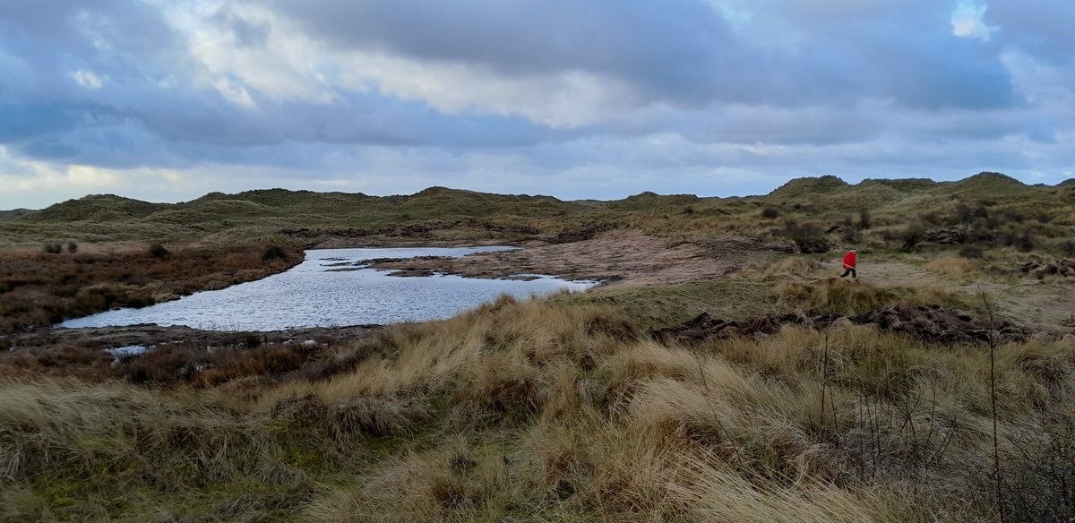 ntsandscalehaws's tweet photo. 2 of 2
data. Hydrological data collated over several years in combination with current dipwell & location specific water table data to calculate how much the ground level needs to be adjusted to lie within the vegetation community's specific needs. #dynamicdunes #sandunes https://t.co/Iv98E6KpsN