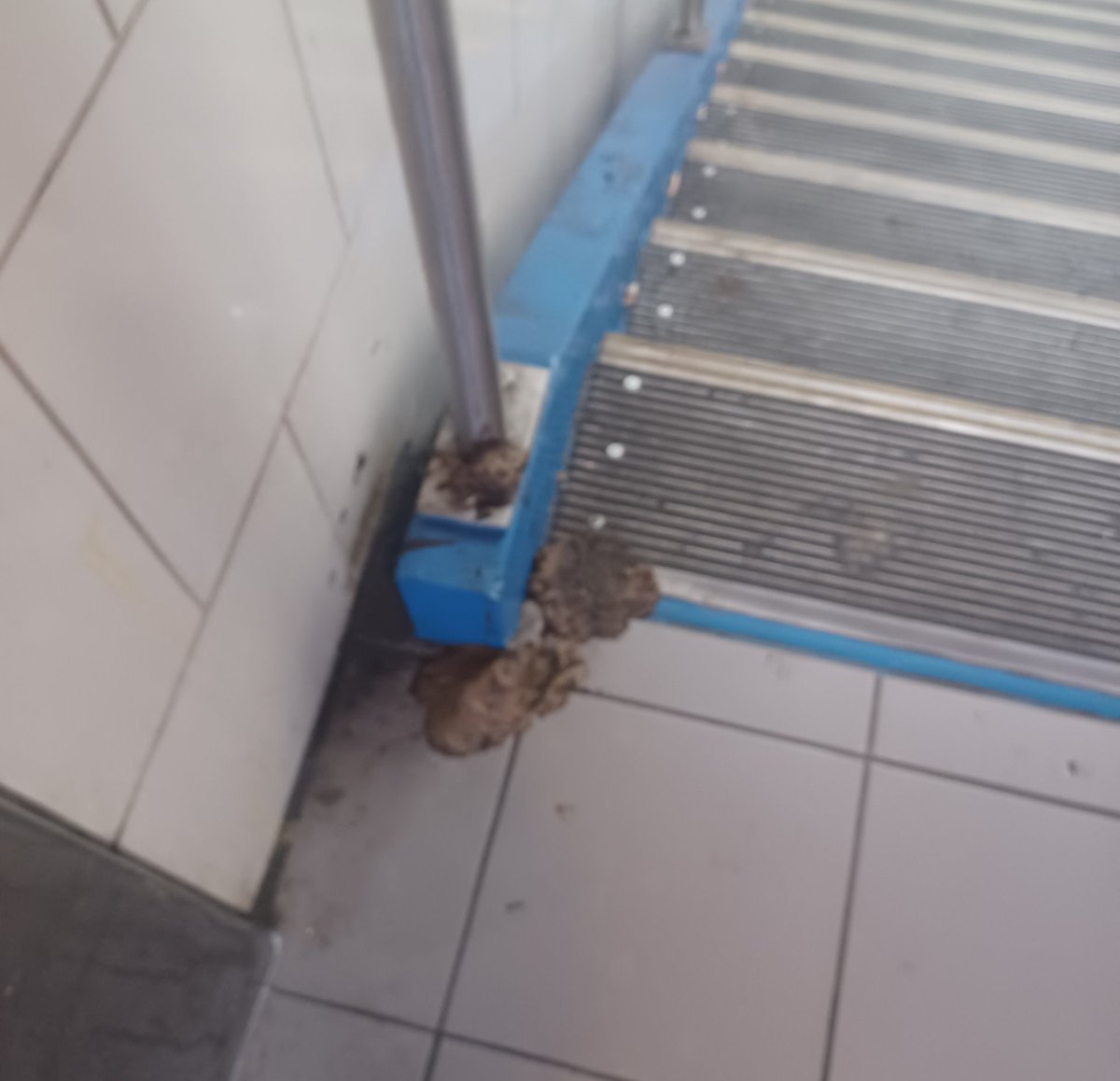 KebRobinson's tweet photo. @PhillyMayor worried about refugees when the people and places here need to be taken care of. 🤷🏿‍♀️
@FailSepta @SEPTA_MFL @SEPTA_SOCIAL  @SEPTA_Bus fares needs to decreased. 
#SeptaSucks
#ServiceSucks
#SeptaCustomerServiceSucks https://t.co/XnhlzPzPfj