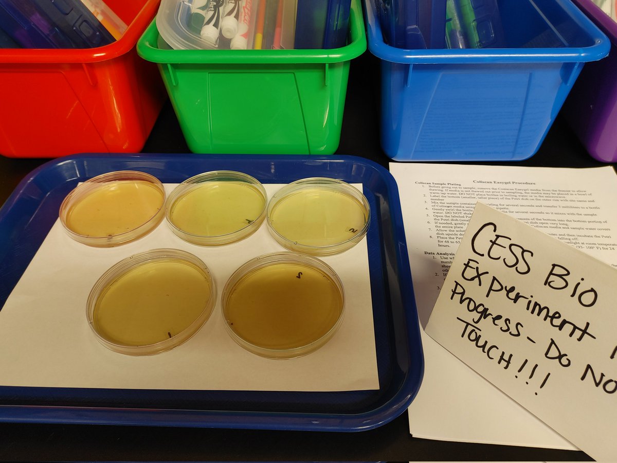 Juliana Yam tweet media