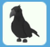 🖤Crow giveaway 🦅 
Rules;
Follow me &amp; <a href="/stuffyiie/">.</a> 🍔
Turn notifs on 🔔(appreciated a lot)
Like ❤️
Retweet 🐛
Compliment yourself 🛁
Comment ✅ (optional)
Tag friends 🦔 (optional)
That’s all!
Gl everyone 🤝