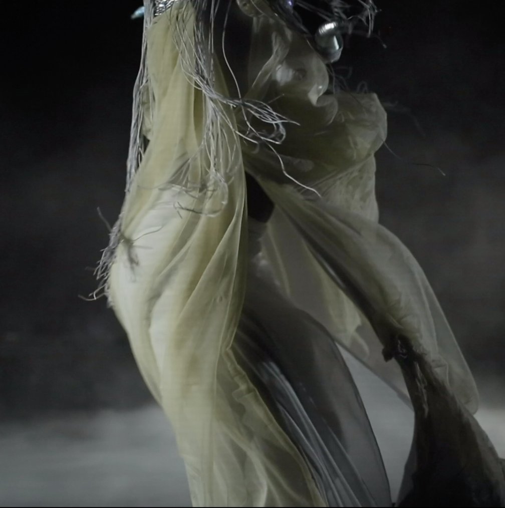 Tryphème tweet media