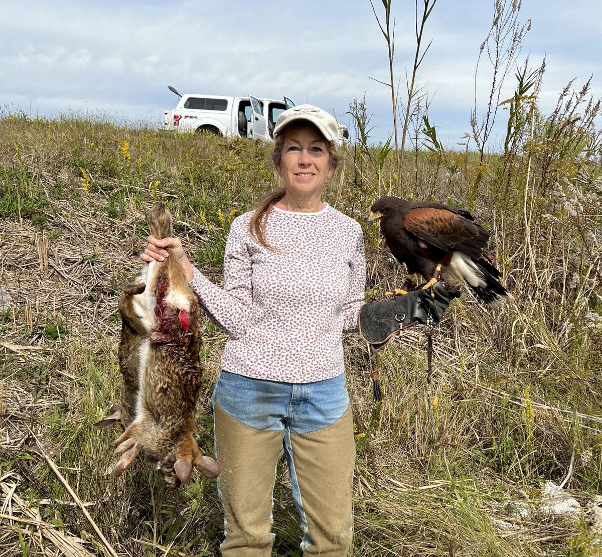 JennCoulson's tweet photo. Swamp rabbits the hawks caught on World Falconry Day … may there always be a future for falconry #falconry https://t.co/yXV2erV3T0