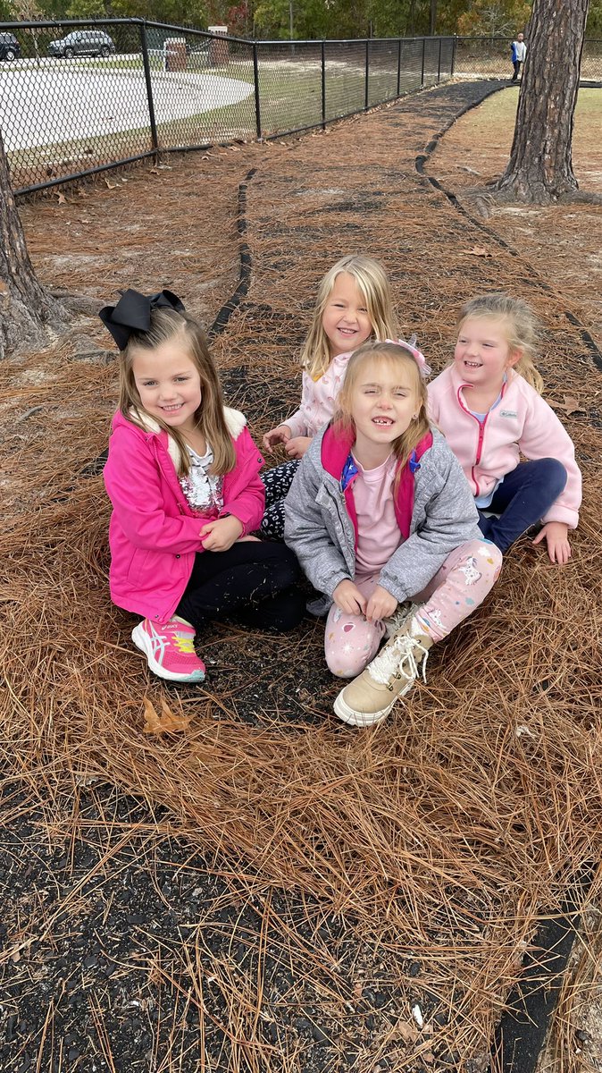 LovesExplorers's tweet image. Lots of baby chicks in the nest at recess today! #treehomes #ctelearning @CatawbaTrail #ctejoy