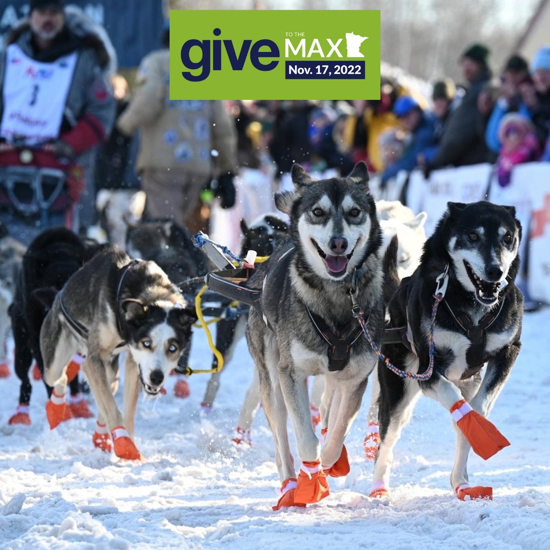 Beargrease Sled Dog Marathon tweet media