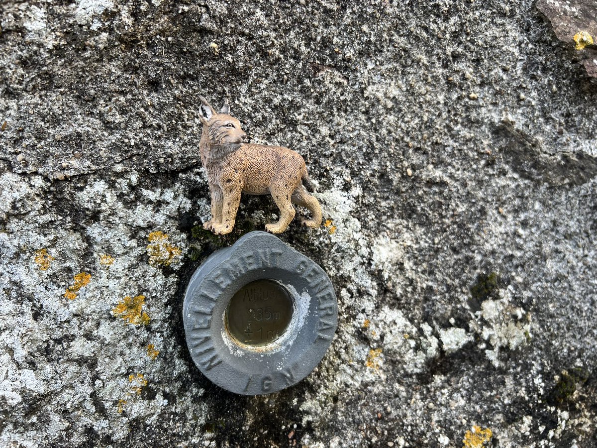 lynxdu36's tweet photo. Sortie #Geocaching #adventurelab #waymarking. https://t.co/sV0sVKaLhC