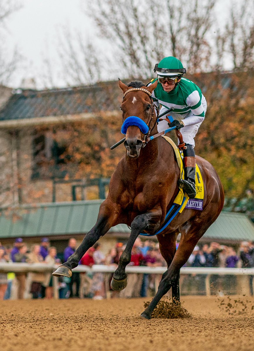 A historic shot of FLIGHTLINE winning the 2022 <a href="/BreedersCup/">Breeders' Cup</a> Classic...😍

📸 Photo copyright: Alex Evers (<a href="/A_Evers/">Evers</a>) / Eclipse Sportswire (<a href="/EclipseSports/">Eclipse Sportswire</a>)