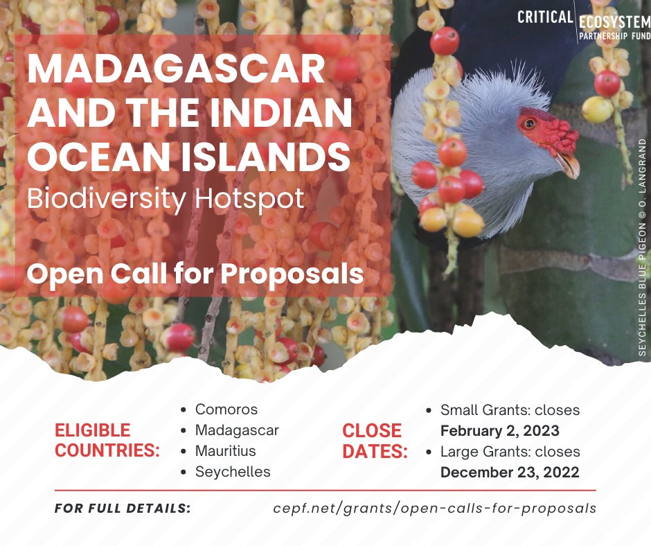 CEPF (@communitycepf) on Twitter photo #CEPF Open Call for Proposals!
Appel à lettres d’intention pour petites et grandes subventions.
Hotspot: Madagascar & the Indian Ocean Islands
Eligible countries/Pays éligibles: #Comoros, #Madagascar, #Mauritius and the #Seychelles
Visit bit.ly/3Og3Piu for full details #CEPF Open Call for Proposals!
Appel à lettres d’intention pour petites et grandes subventions.
Hotspot: Madagascar & the Indian Ocean Islands
Eligible countries/Pays éligibles: #Comoros, #Madagascar, #Mauritius and the #Seychelles
Visit bit.ly/3Og3Piu for full details
