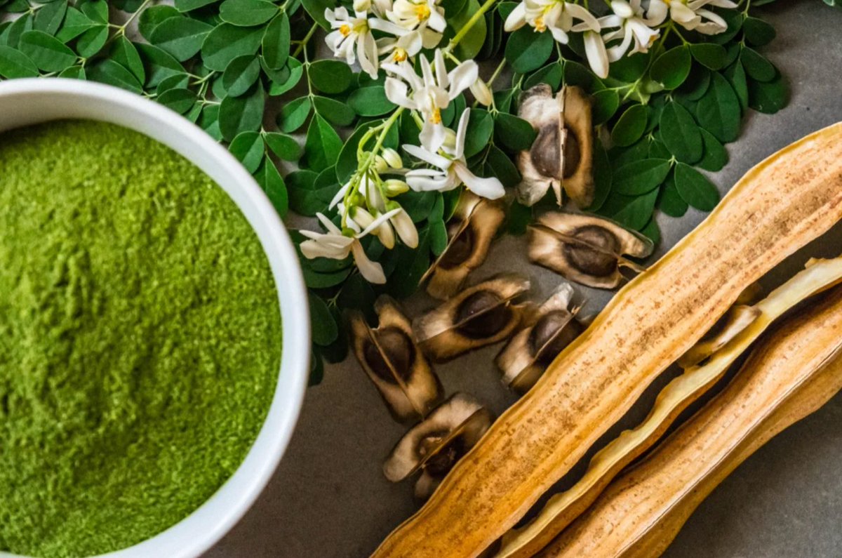 NaturalHairNysa's tweet photo. 10 Powerful Health Benefits of Moringa. https://t.co/PZ2pH6nW5W https://t.co/eRJwJkM36y