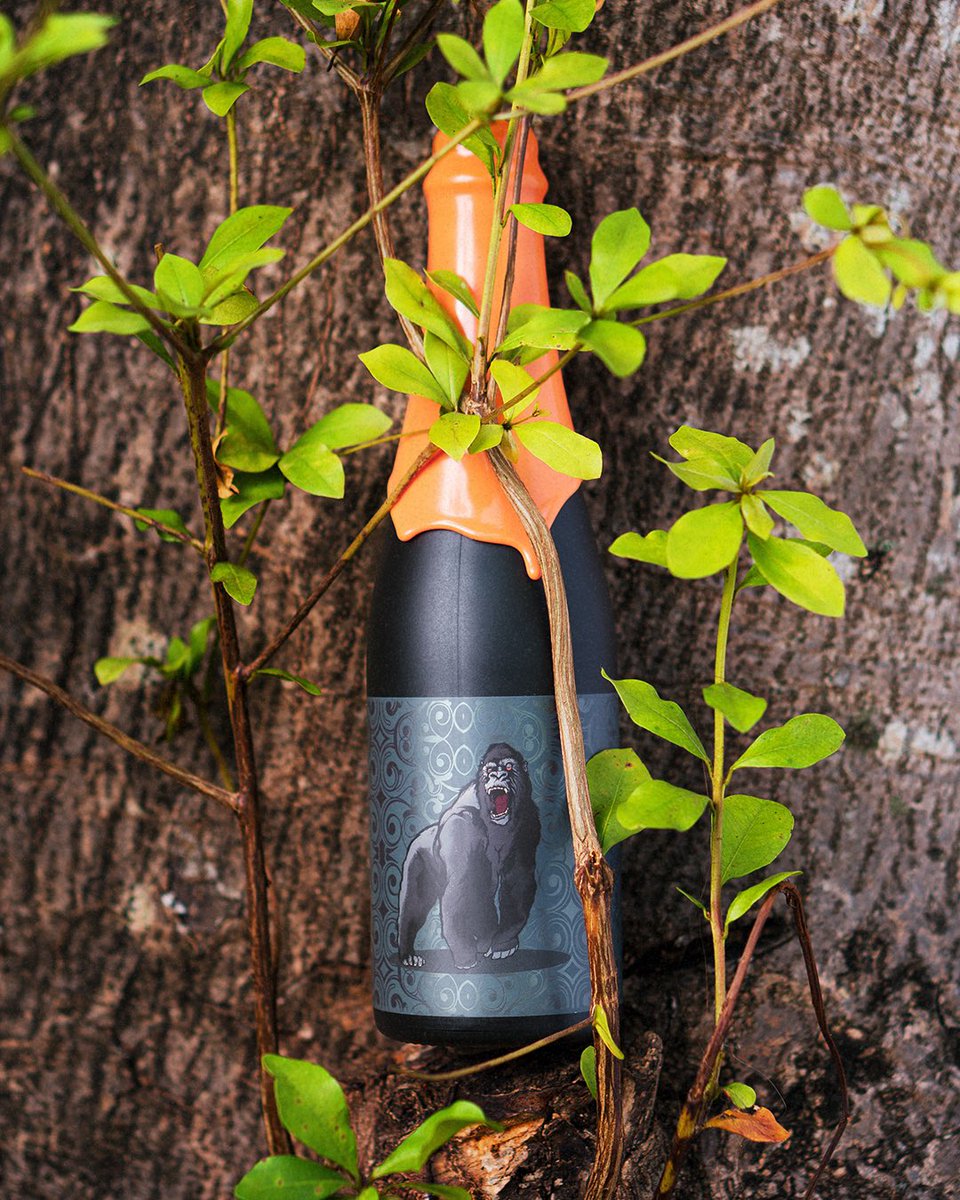 🌳🦍kerchak drops this friday at 1pm on <a href="/get_oznr/">Oznr</a> 

massive non adjunct imperial ba stout aged in woodford reserve. 14% abv and all that barrel glory ⛽️