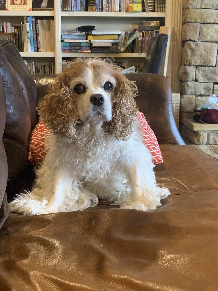 Carol Stettheimer tweet media