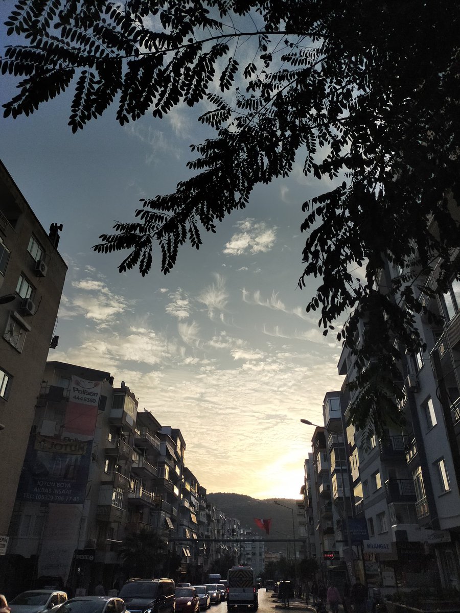 AslanNket2's tweet photo. Açma pencereni perdeleri çek, Mona Rosa seni görmemeliyim. Bir bakışın ölmem için yetecek. Anla Mona Rosa ben öteliyim. Açma pencereni perdeleri çek. https://t.co/f9w1fbaBK0
