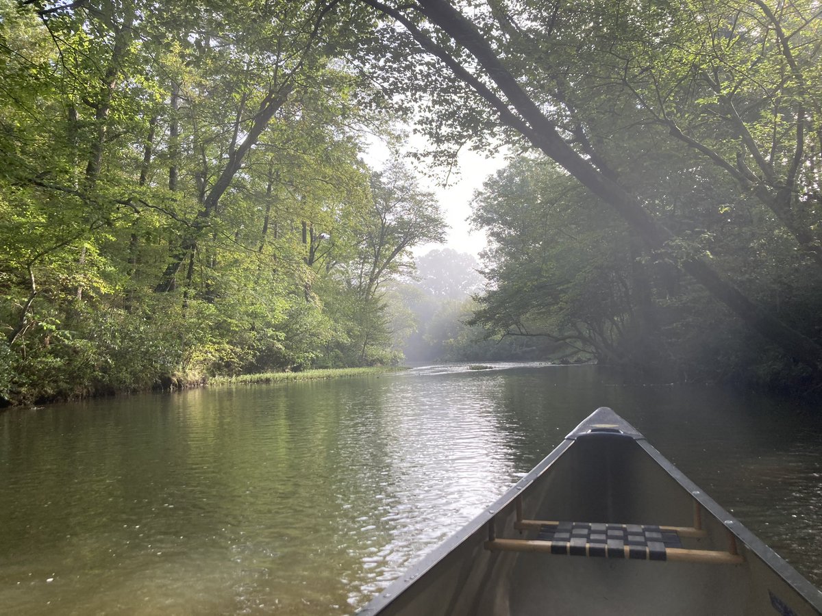 Roberto Inetti tweet media