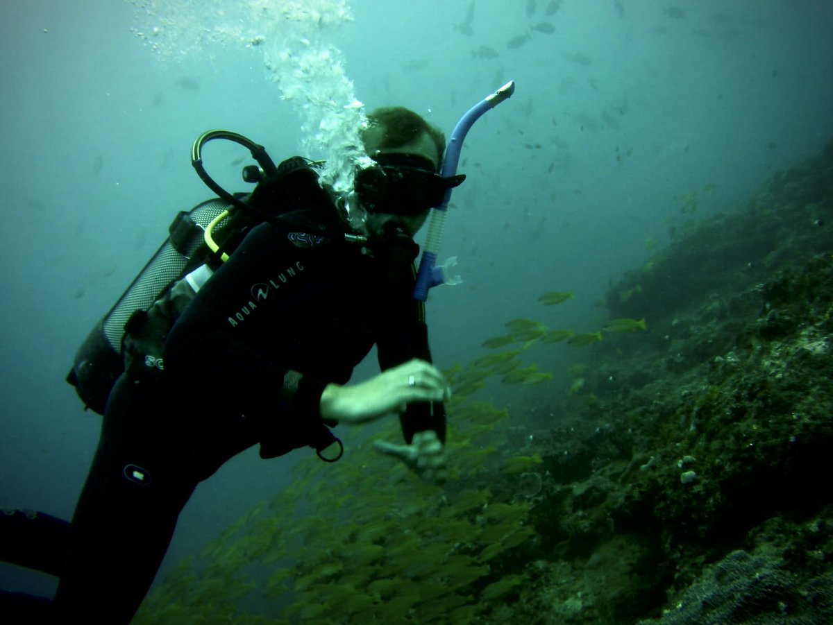 RabsFB's tweet image. Bosh