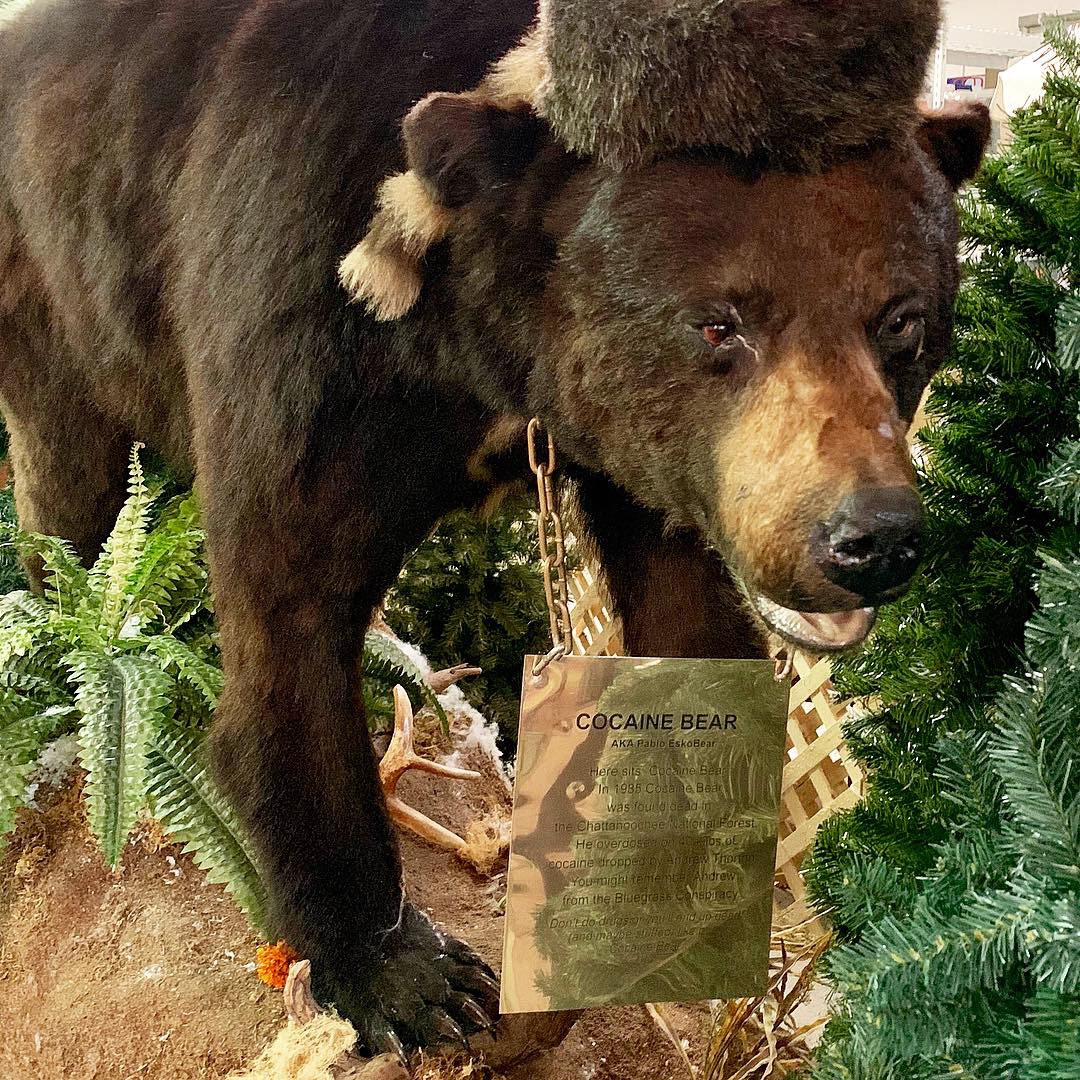 StephanieClark's tweet photo. @MattIsADork We live half a mile from the real Cocaine Bear, AKA Pablo EskoBear. He's a local celebrity. He lives at the Kentucky for Kentucky store where they sell lots of fun kitschy stuff, including Cocaine Bear merch. Read Bluegrass Conspiracy for more info. https://t.co/0mmWVx3f1X https://t.co/PpG9S91KGT