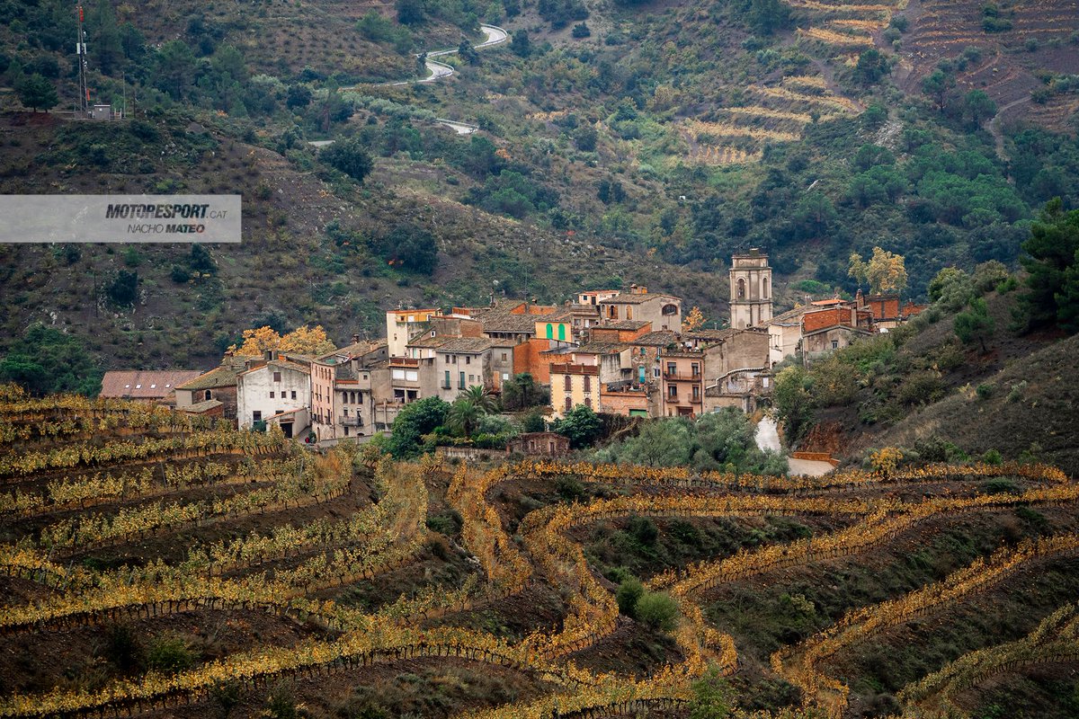 Motor_Esport's tweet photo. 🟡 CATALUNYA: Plou sobre mullat al Priorat

➡️ Cal asseure's i parlar. El diàleg és la única solució per un encaix territorial amb els esdeveniments que es duen a terme.

🔗 https://t.co/FjjLKD0I0y https://t.co/9Ml1HfmXgd
