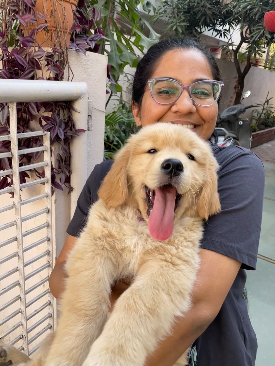 knockofflife's tweet photo. @bunsenbernerbmd My puppy Potato at 8 weeks old! https://t.co/kc0TgjrPRC