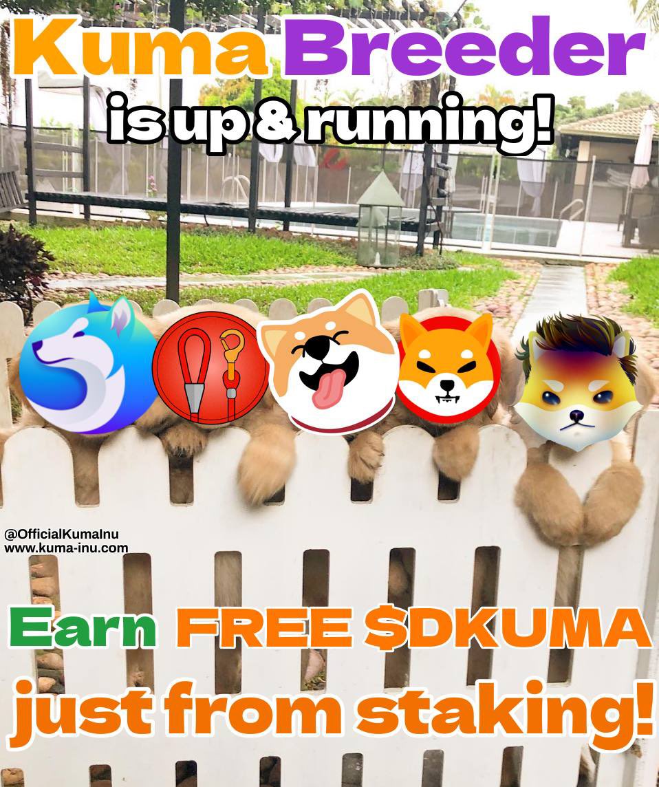 KUMASPACEX's tweet photo. @lenoci_vincenzo @yourcryptodj #ShibaEternity #ShibaArmy #shiba #dogelonarmy #doge #DOGEARMY #dogelonmars #akitainu #akita #akita_network #leash https://t.co/iKJ2kWKNWX
