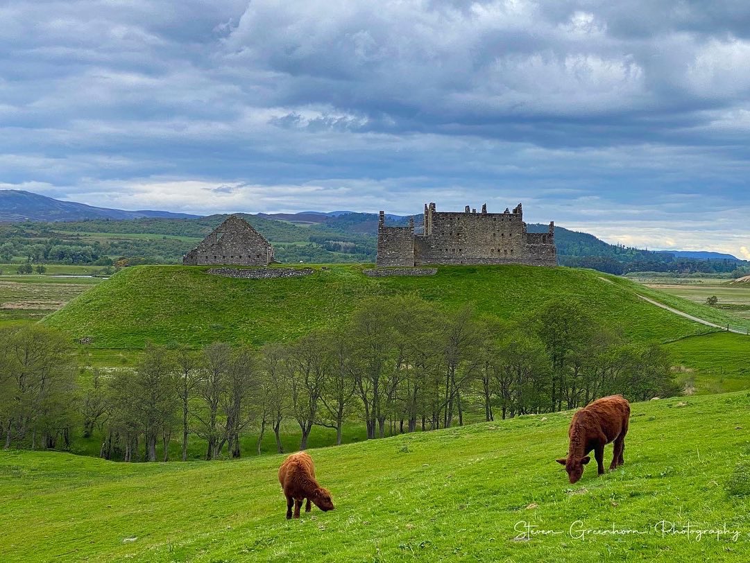 Edinburgh Black Cab Tours tweet media