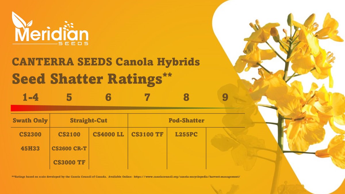 Meridian Seeds tweet media