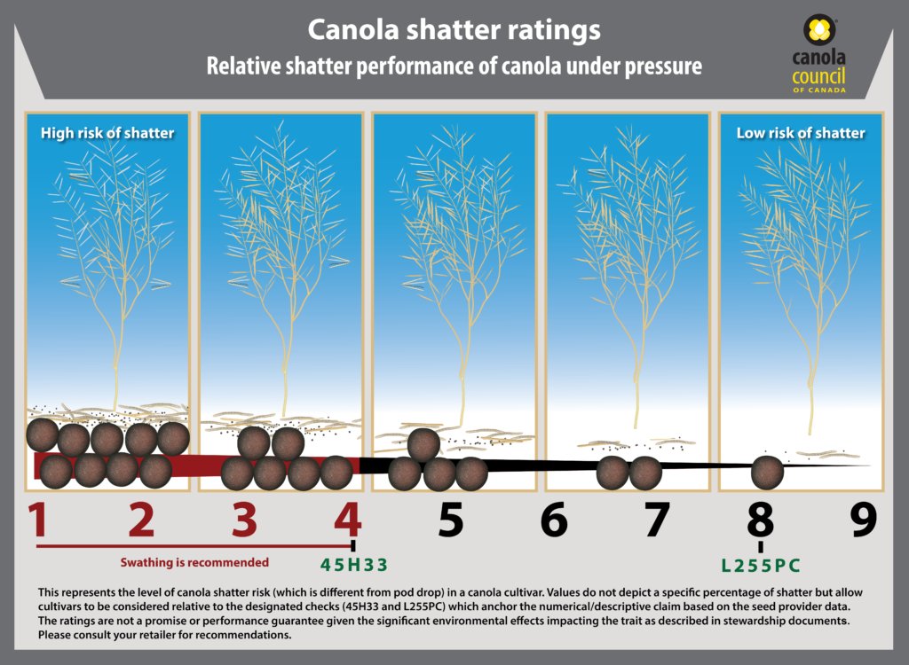 Meridian Seeds tweet media