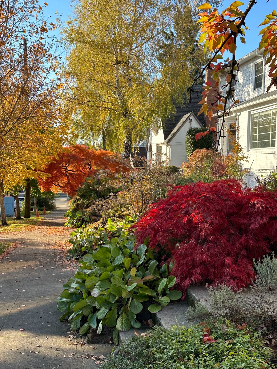 tastelifetwice's tweet photo. It's #mondayblogs time! Have some beautiful #fallcolor pictures while I spout the stats! #booklaunch #pdxfall https://t.co/FC6o2VnEfe https://t.co/W9nM3GUBWe