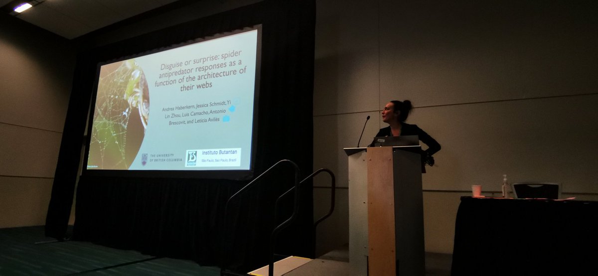 Soy aracnólogo, pregúntame lo que quieras (@arachno_cosas) on Twitter photo <a href="/The_Bug_Girl/">andrea haberkern, M.S.</a> nos habla sobre telarañas y sus funciones ºOOº
#EntSoc22 #Vancouver #Arañas #spider #aracnidos #Arachnids #spiderweb #orbweb <a href="/The_Bug_Girl/">andrea haberkern, M.S.</a> nos habla sobre telarañas y sus funciones ºOOº
#EntSoc22 #Vancouver #Arañas #spider #aracnidos #Arachnids #spiderweb #orbweb