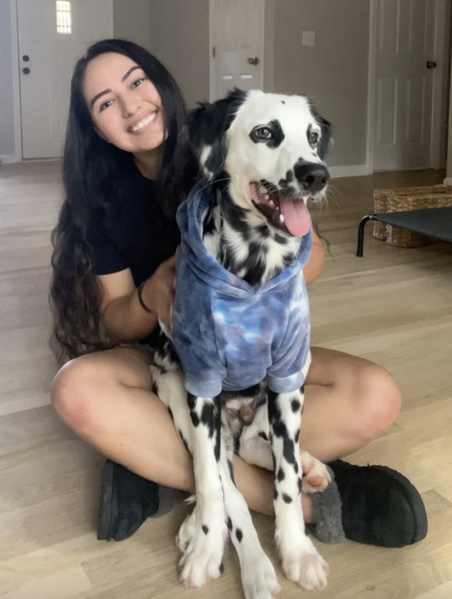 Sandra Macedo tweet media