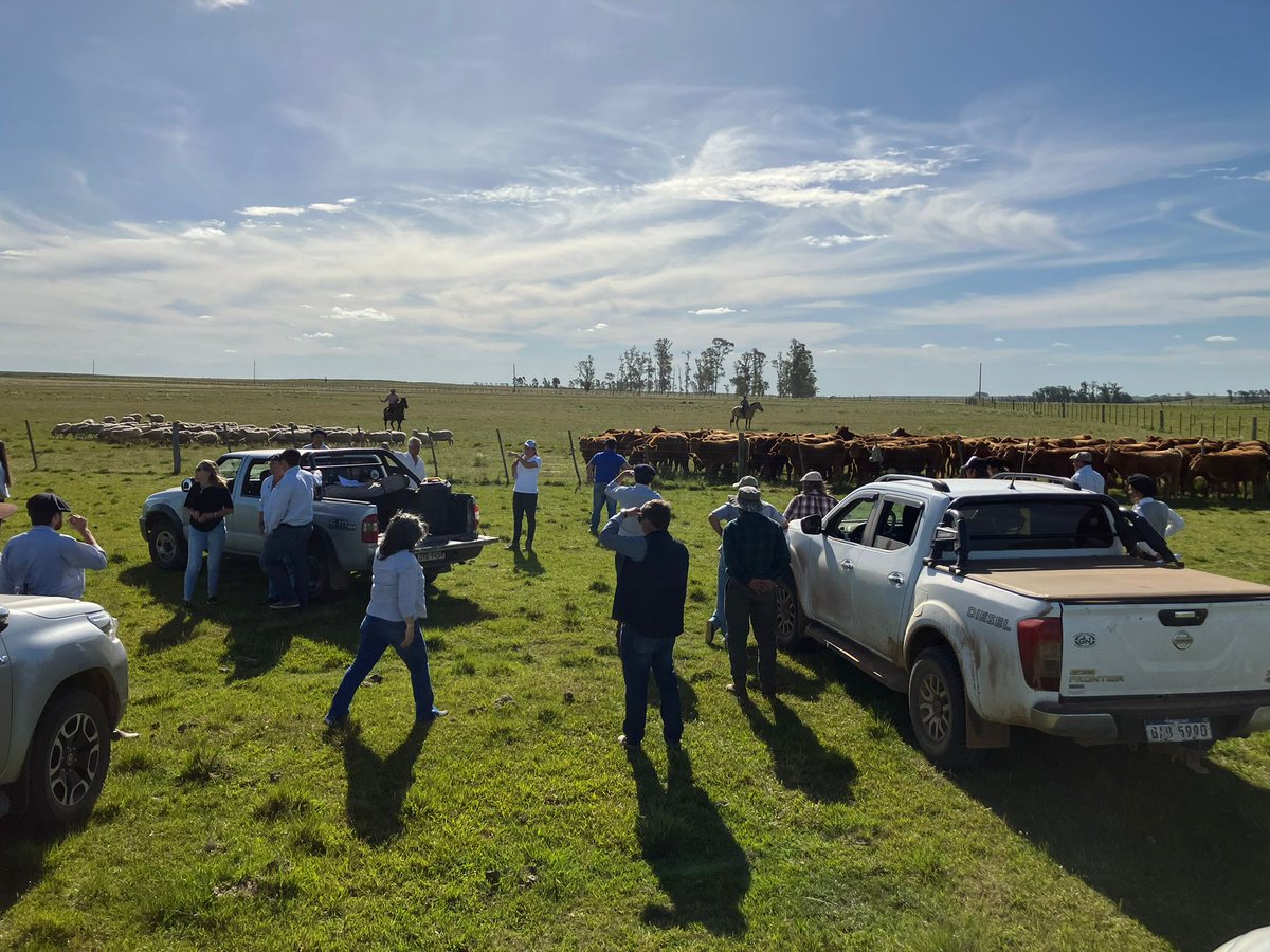 SUL_uy's tweet photo. 👉 Jornada abierta en predio foco en Cabaña Los Ángeles de la familia Castro, Masoller, Rivera.🌱 🐏
✅ Proyecto - #sostenibilidad del ovino en sistemas ganaderos mixtos - Una mirada 360° #fpta360 https://t.co/nGfQ64LEJ7