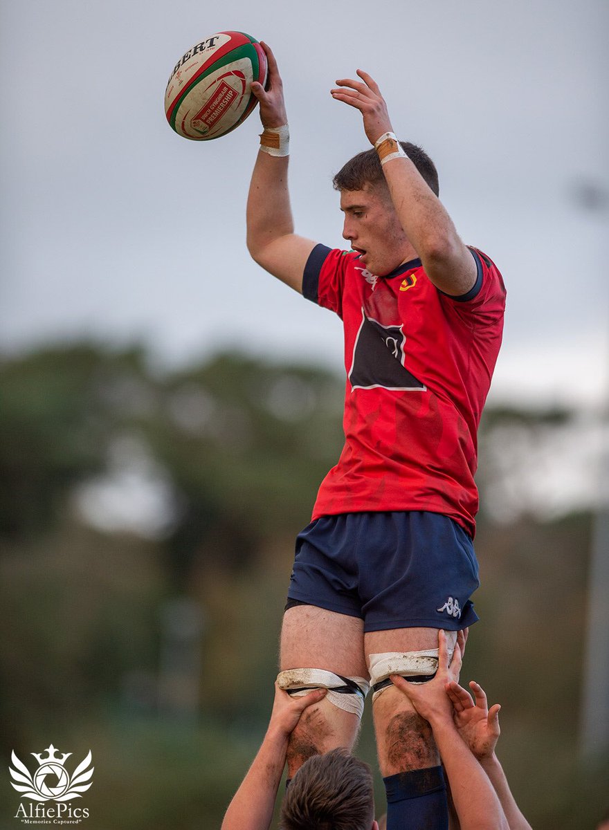 Alfiepics tweet media