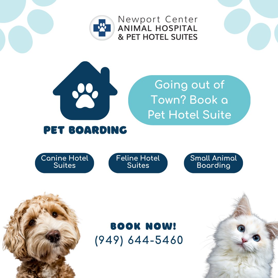 Newport Center Animal Hospital & Pet Hotel Suites (@NewportCenterAH) /  Twitter