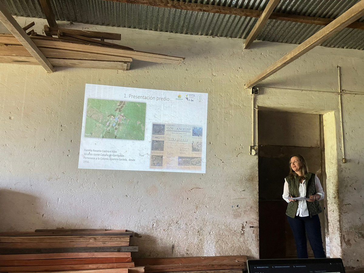 SUL_uy's tweet photo. 👉 Jornada abierta en predio foco en Cabaña Los Ángeles de la familia Castro, Masoller, Rivera.🌱 🐏
✅ Proyecto - #sostenibilidad del ovino en sistemas ganaderos mixtos - Una mirada 360° #fpta360 https://t.co/nGfQ64LEJ7