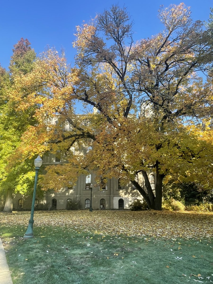 The path less taken. Oh, the places it can lead.