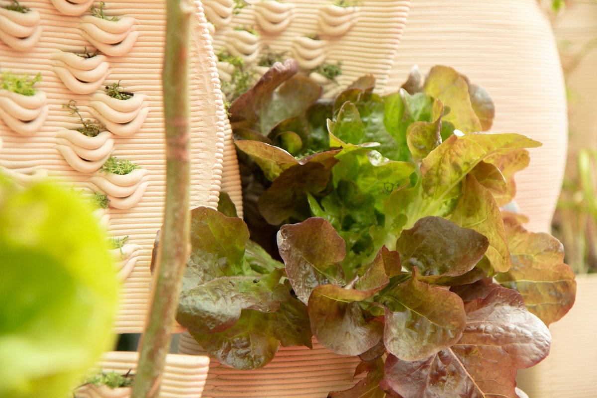 3d printed #VerticalFoodFarm is co-designed with school communities and children. Enhancing #biodiversity and #educating the public in cities, the farm produces food and is a host for insects and birds. On display <a href="/SmartCityexpo/">Smart City Expo World Congress</a> <a href="/_TomorrowBuild/">Tomorrow.Building</a> by <a href="/IAAC/">IAAC</a>