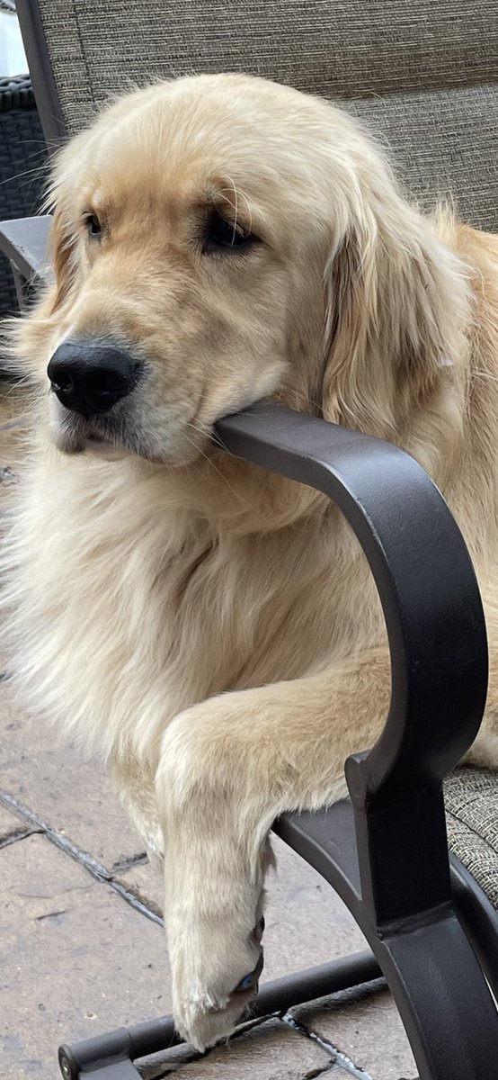 smithnls10's tweet photo. @bunsenbernerbmd Jess! 🥰 https://t.co/Tiw47YyO3x