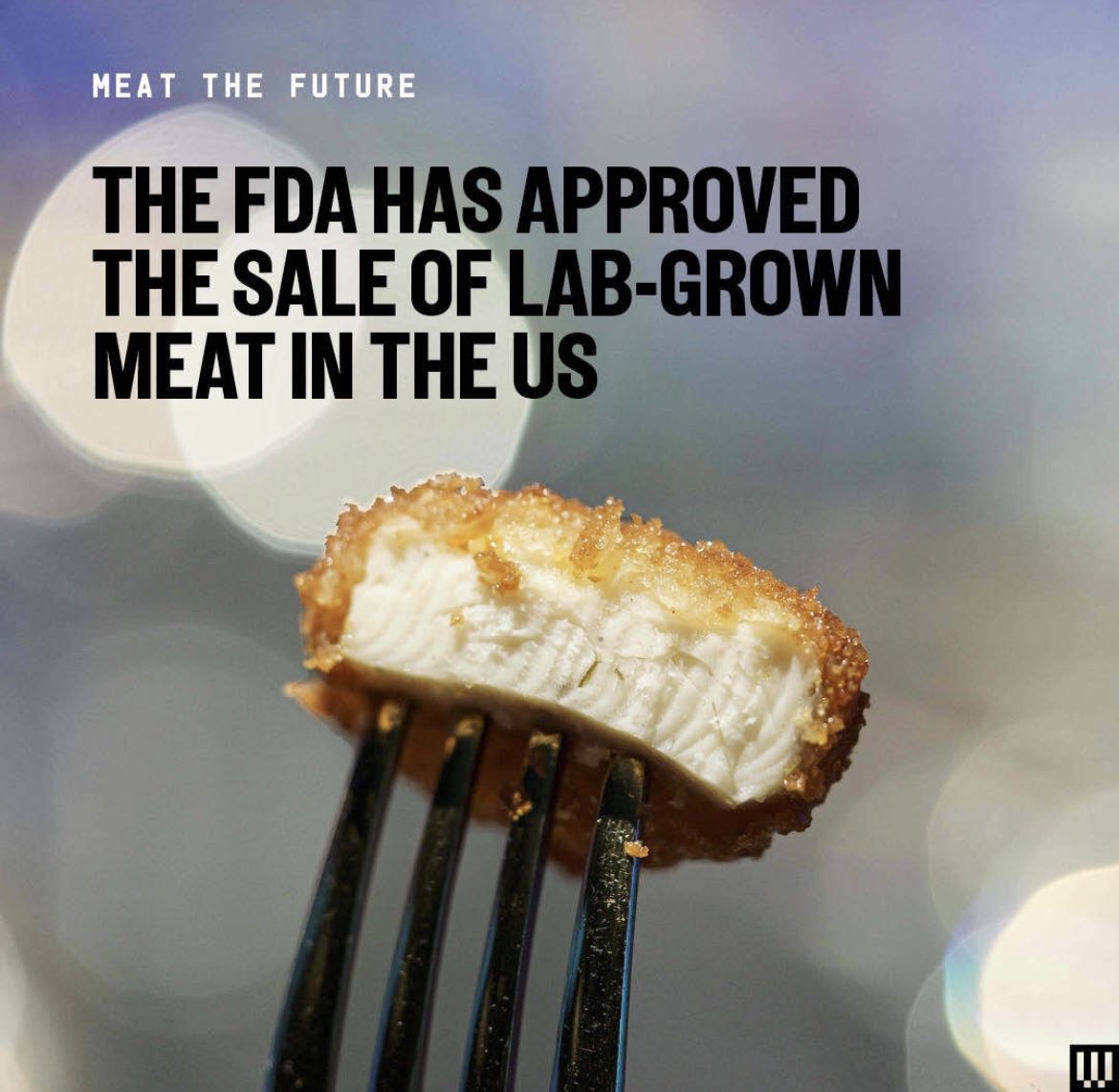 brainingjv's tweet photo. Food News: la FDA  acaba de aprobar la venta de “Carne cultivada de Laboratorio” en US , sin duda estamos viviendo un momento histórico en la industria de alimentos…#alimentos #food #fda #Foodtechnologies #foodindustry #labgrowmeat #meat #protein #nonmeat #industriaalimentaria https://t.co/1mCwHt5L4o