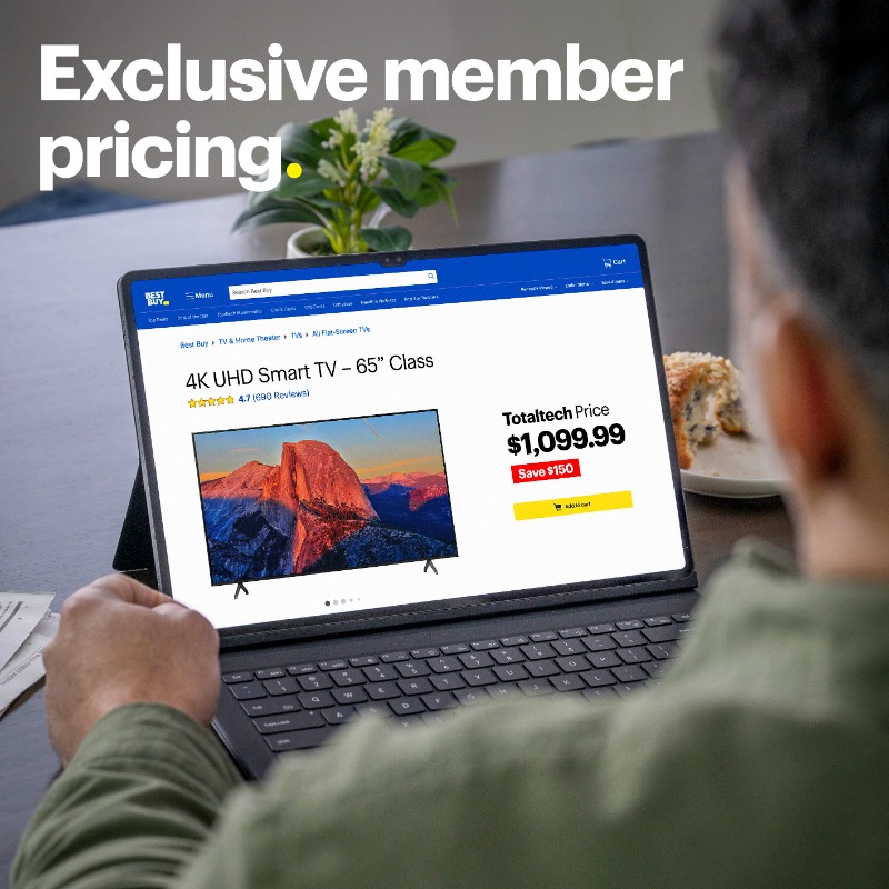 BestBuy's tweet photo. What do you get the person who needs help with everything?