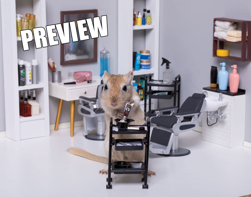 GerbMeetsMouse's tweet photo. Sneak Peek! One of the photos in our 2023 Calendar!
#gerbil #gerbilsofinstagram #dollhouseminiatures #rement #petoftheday #petsofourworld #petlove #rodentlove #animalsdoingminiaturethings #112scale https://t.co/SZydR1ZDQm https://t.co/FAOZNSDRkV