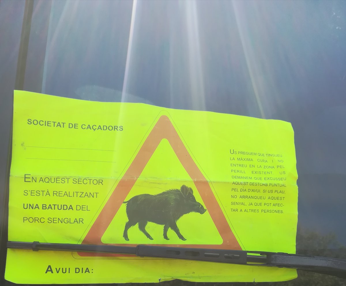 Tot i el final de la vaga de caçadors i havent acordat formes de notificar les batudes, les nostres colles utilitzen tot el seu enginy per tal de desobeir la llei i facilitar el control de població d´aquesta espècie invasora. Per tal de defensar el territori, tot s´hi val!!