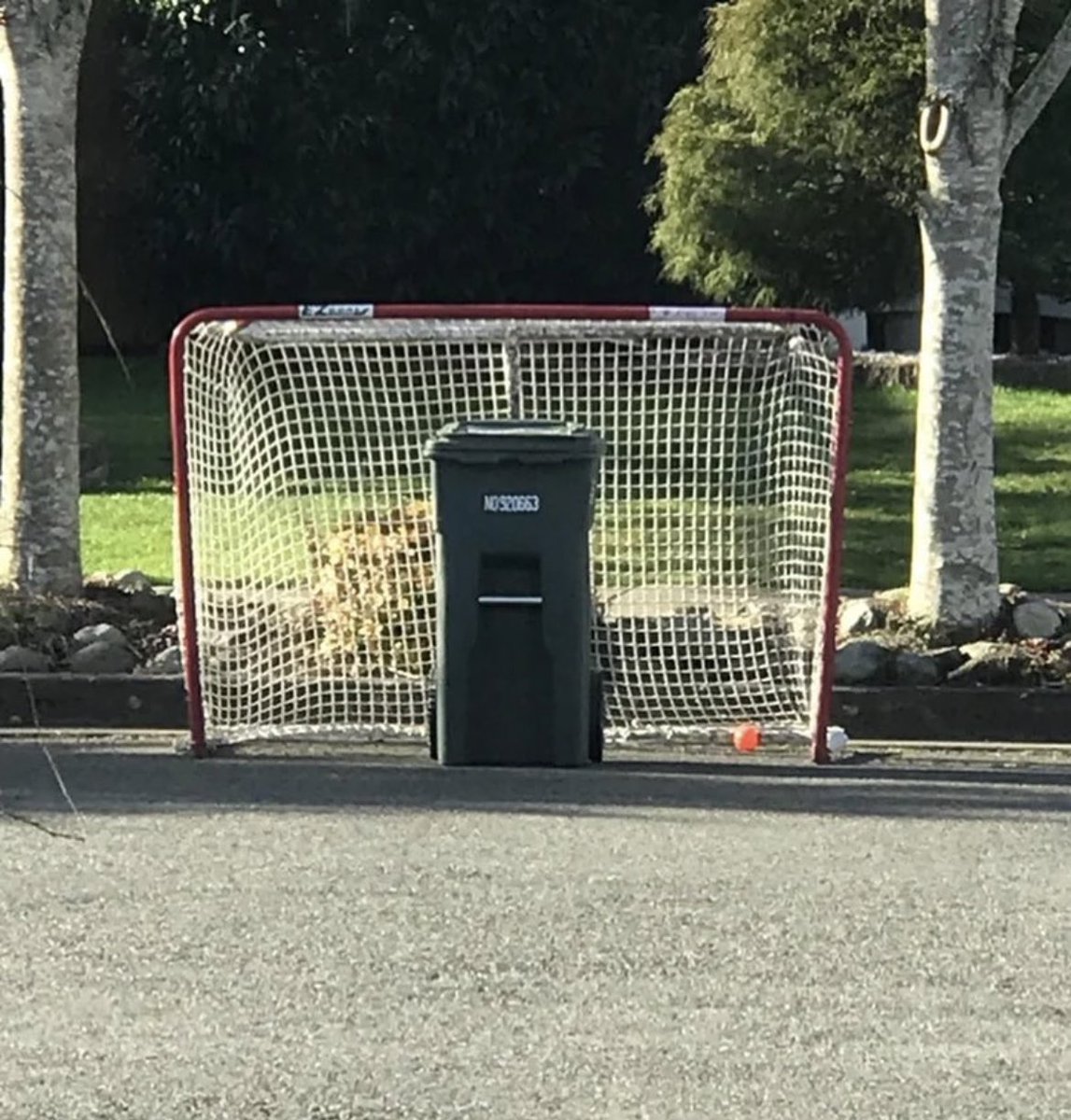 Minner Arena FanCave tweet media