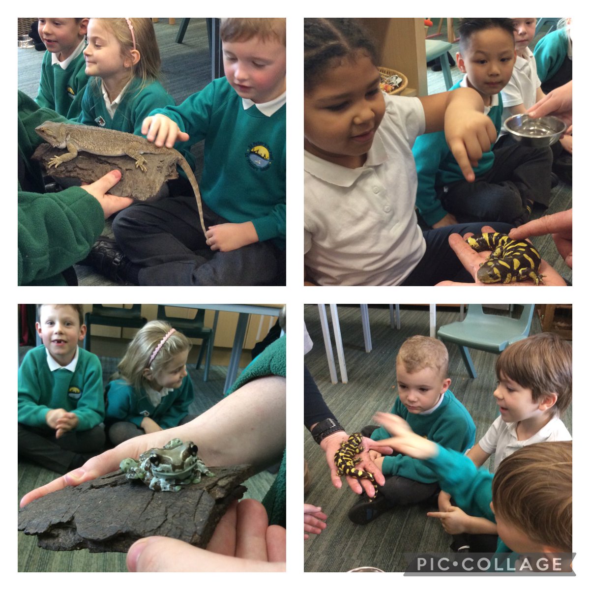 St Peter & St Paul tweet media