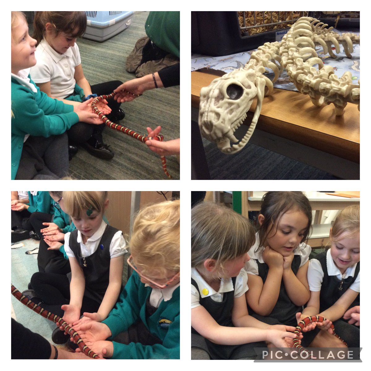 St Peter & St Paul tweet media