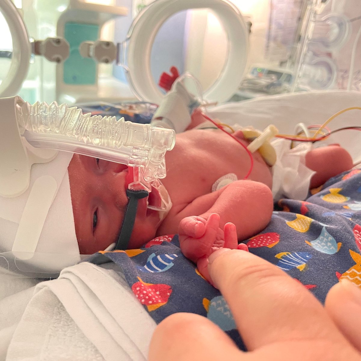 Amy SNUG tweet media